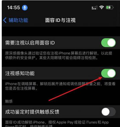 鹤壁苹果14维修网点分享iPhone14注视感知功能有什么用 