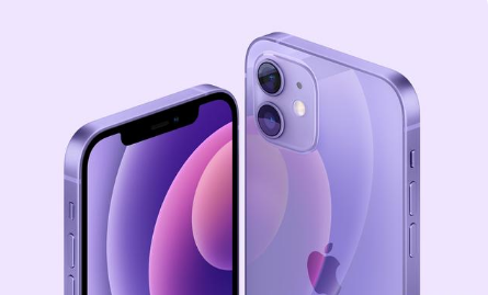 鹤壁苹果手机维修分享紫色版iPhone 12有什么技术亮点 